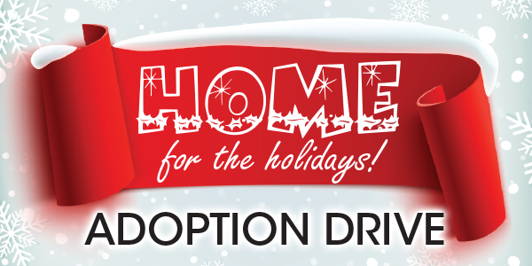 Adoption Drive