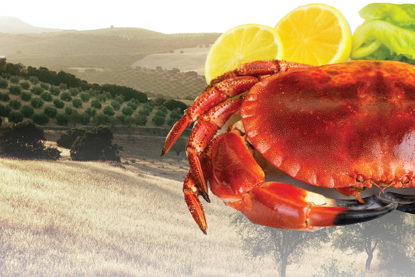 Crab Feed