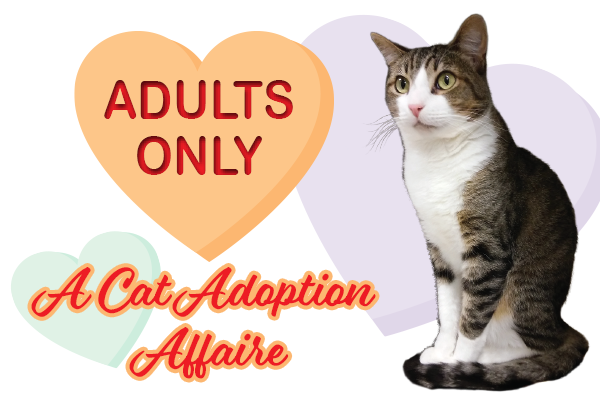 Cat Adoption Affaire