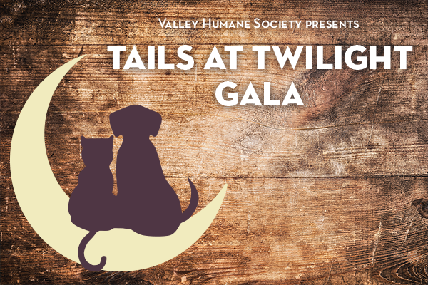 Tails at Twilight