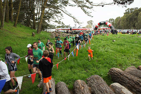Badger Cove