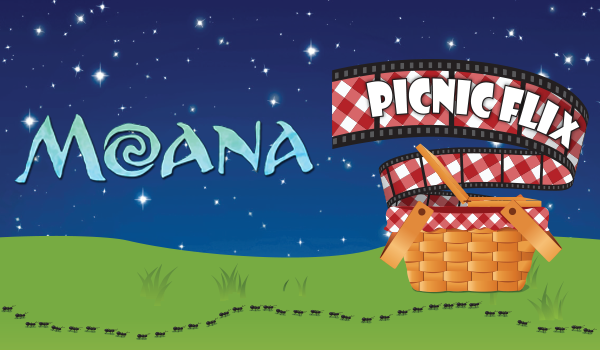 Picnic Flix