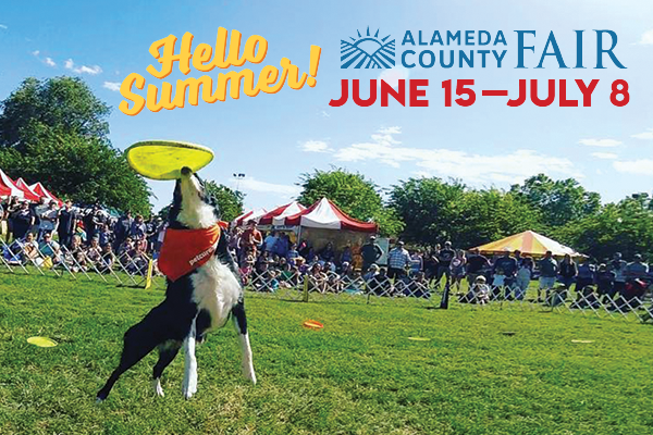 Say Hello to Summer at the Alameda County Fair  Your Town Monthly