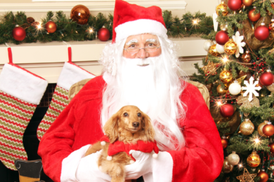 Pet Pictures with Santa Himself! - Your Town Monthly