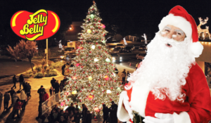 jelly belly tree lighting