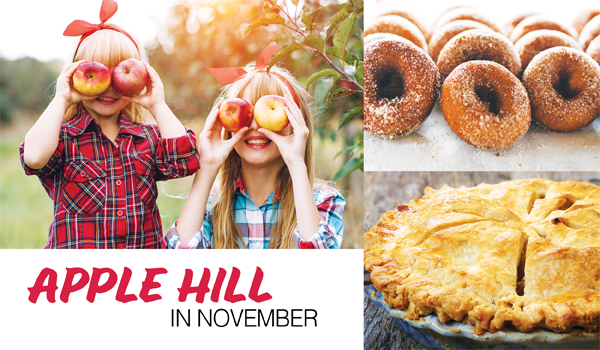 Visiting Apple Hill in November - Your Town Monthly