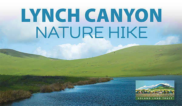 lynch canyon nature hike