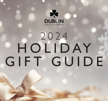 Dublin COVER_2024 holiday guide