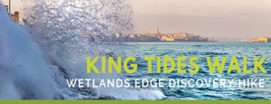 king tides walk